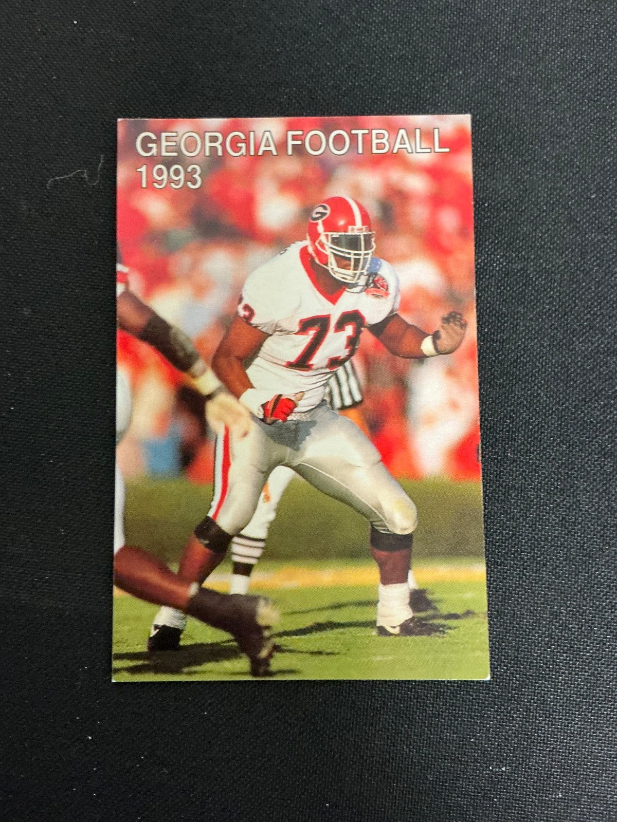 1993 Georgia Bulldogs Football Pocket Schedule